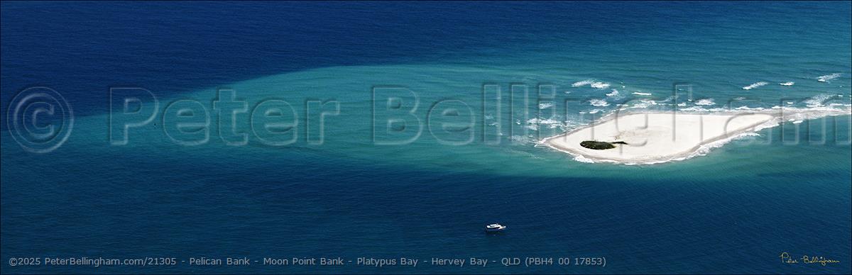 Peter Bellingham Photography Pelican Bank - Moon Point Bank - Platypus Bay - Hervey Bay - QLD (PBH4 00 17853)